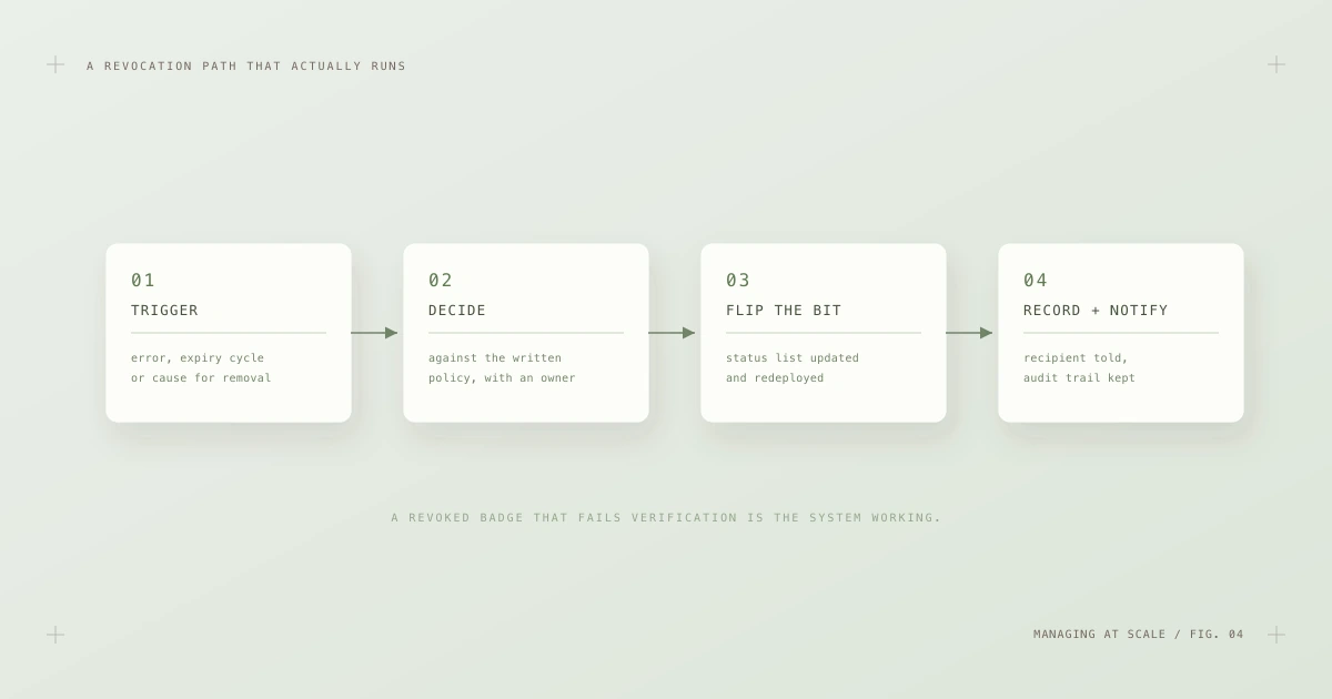 A four-step revocation workflow: trigger, decision against written policy, status list update, and record plus notification.
