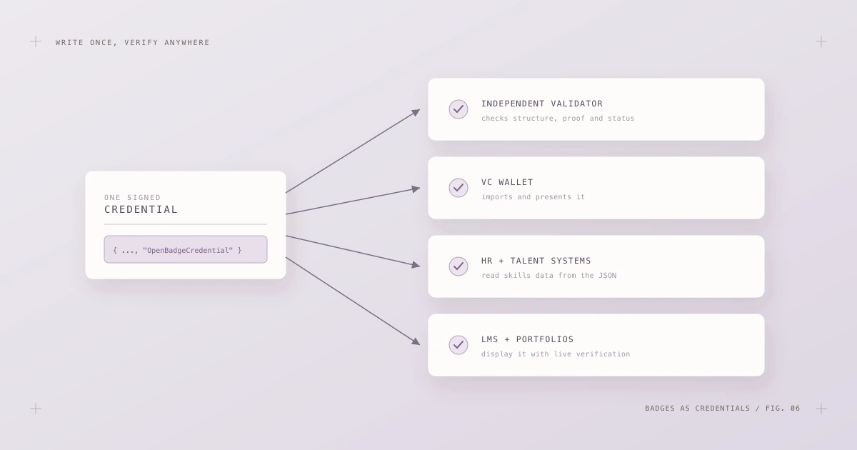 One signed credential fanning out to an independent validator, a VC wallet, HR and talent systems, and learning platforms — all reading the same JSON.
